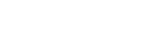 logo BigMat Parise Edilizia Bianco